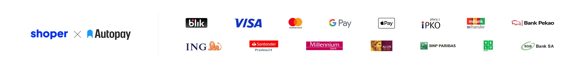 rodzaje płatności i banków obsługiwanych przez sklep